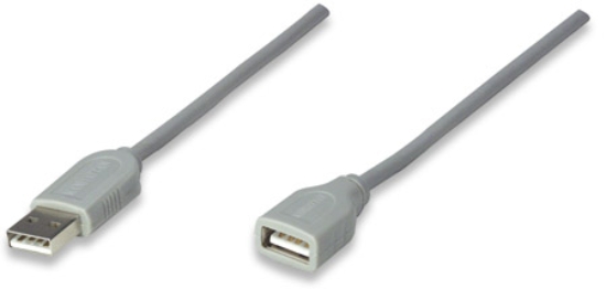 Imagen de Cable USB Ext. Tipo A 3.0M, Gris