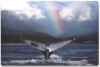 Imagen de *Skin Notebook 17" - Ballena y Arcoiris