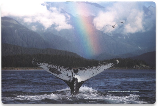 Imagen de *Skin Notebook 17" - Ballena y Arcoiris