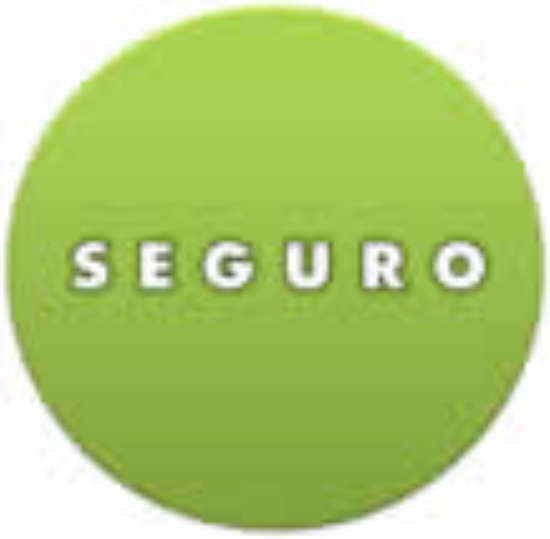 Imagen de SEGURO