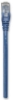 Imagen de CABLE PATCH CAT 6,  0.5M( 1.5F) UTP AZUL