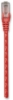 Imagen de CABLE PATCH CAT 6,  1.0M( 3.0F) UTP ROJ