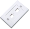 Imagen de TAPA (FACEPLATE) 2 PERFORACION BLANCO