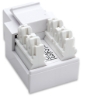 Imagen de JACK RJ11/RJ12 DE IMPACTO BLANCO