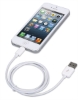 Imagen de Cable Lightning a USB-A, Blanco 1.0m