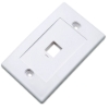 Imagen de TAPA (FACEPLATE) 1 PERFORACION BLANCO