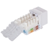 Imagen de JACK CAT 6  SIN HERRAMIENTA (KEYSTONE) BLANCO C/BLOQUEO