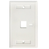 Imagen de TAPA (FACEPLATE)  Blanco 1 Perf. Etiqueta