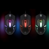 Imagen de Mouse Optico Luminiscente RGB USB Negro
