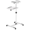 Imagen de Soporte Proyector tipo carro 10kg, dos bandejas para 10kg c/una, para proyectores y laptops