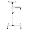 Imagen de Soporte Proyector tipo carro 10kg, dos bandejas para 10kg c/una, para proyectores y laptops