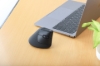 Imagen de Mouse Optico Inalambrico Vertical 2.4G