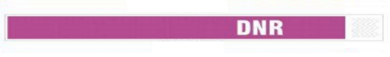 Imagen de ZEBRA, CONSUMABLES, PURPLE - DNR TYVEK ALERT WRISTBAND, 1" X 10", 1000 WRISTBANDS PER CASE, PRICED PER CASE