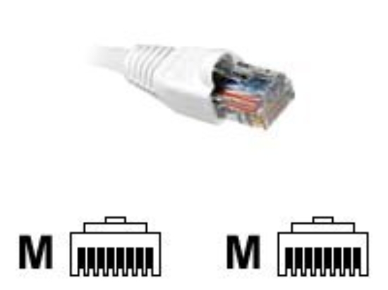 Imagen de Nexxt - Cable de interconexión - RJ-45 (M) a RJ-45 (M) - 90 cm - UTP - CAT 5e - moldeado, trenzado - blanco