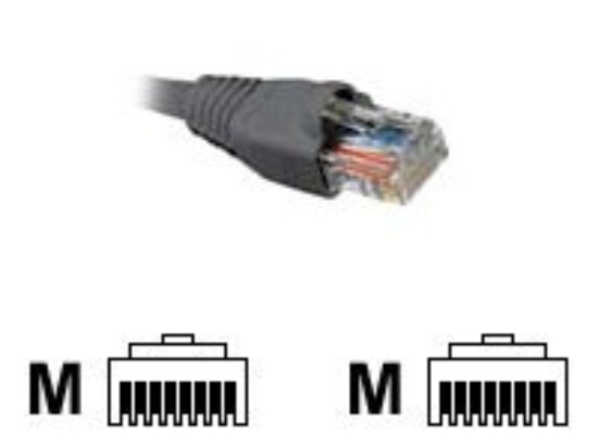 Imagen de Nexxt - Cable de interconexión - RJ-45 (M) a RJ-45 (M) - 7.6 m - UTP - CAT 5e - moldeado, trenzado - gris