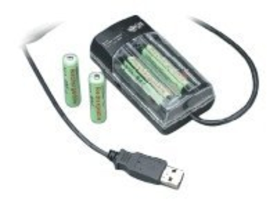 Imagen de Tripp Lite Rapid Recharger - Cargador de batería - (para 2xAA/AAA) 4 x - NiMH - negro