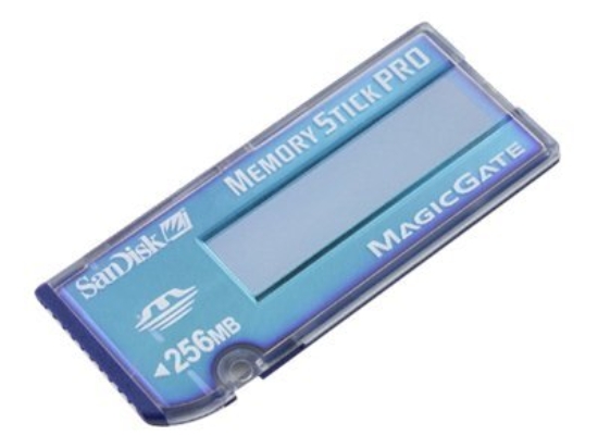 Imagen de SanDisk - Tarjeta de memoria flash - 256 MB - MS PRO - para HP Pavilion t880; Pavilion Media Center m1150, m1180, m1250, m1261, m1270, m1280, m7070