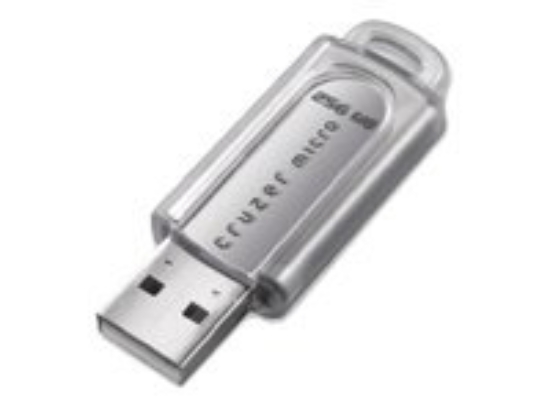 Imagen de SanDisk Cruzer Micro - Unidad flash USB - 256 MB - USB 2.0