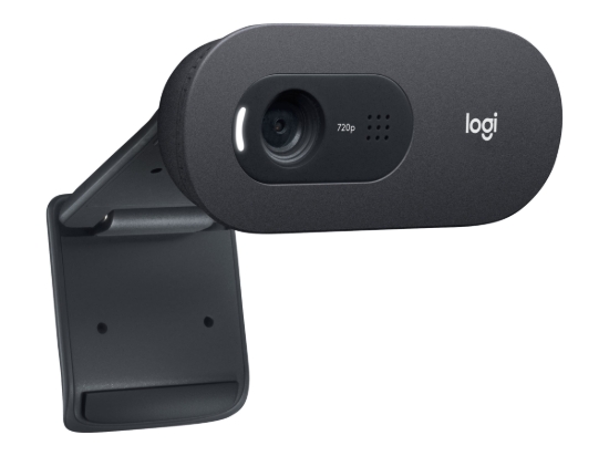 Imagen de Logitech C505e - Webcam - color - 720p - focal fijado - audio - USB